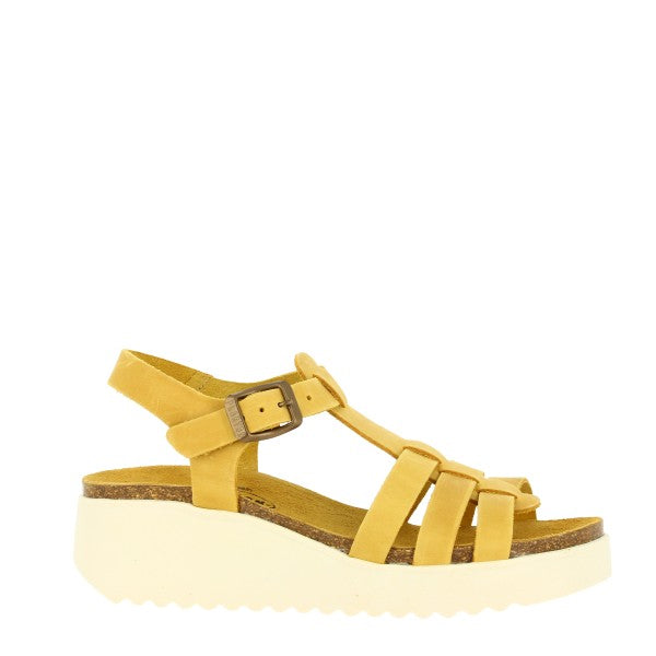 Plakton 336444 OCRE