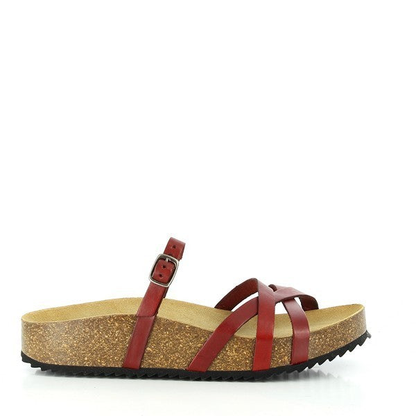 Plakton 341025 BURGUNDY