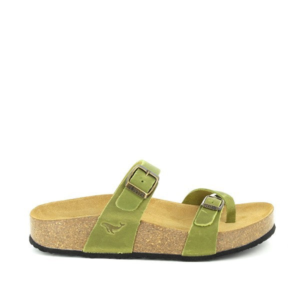 Plakton 341032 PISTACHO-716 X