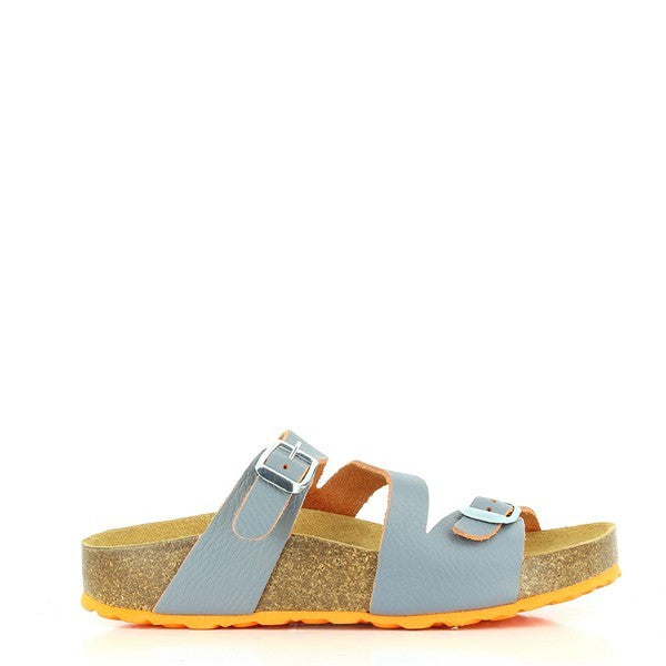 Plakton 341210 CRUDO-AZUL-MULTI