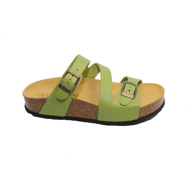 Plakton 341210 PISTACHO