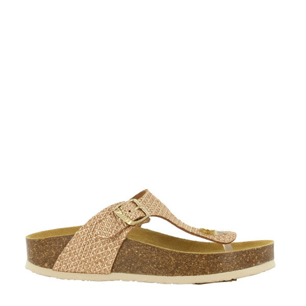 Plakton 341671 BURDEOS
