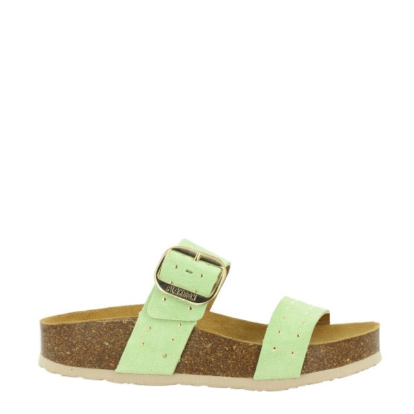 Plakton 343004-RE LIME