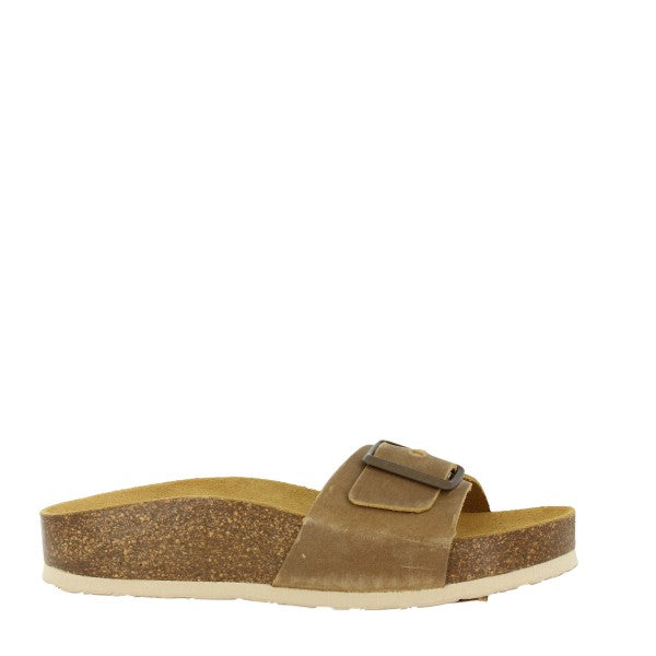 Plakton 345415 TIERRA-6