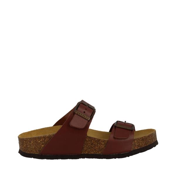 Plakton 345646 CORCHO