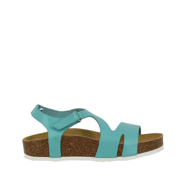 Plakton 345647 FUXIA