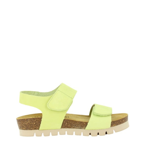 Plakton 355887-15 VERDE ACIDO