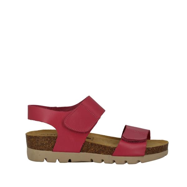 Plakton 355887 FUXIA