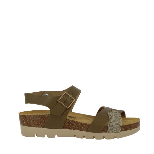 Plakton 355889 KAKI