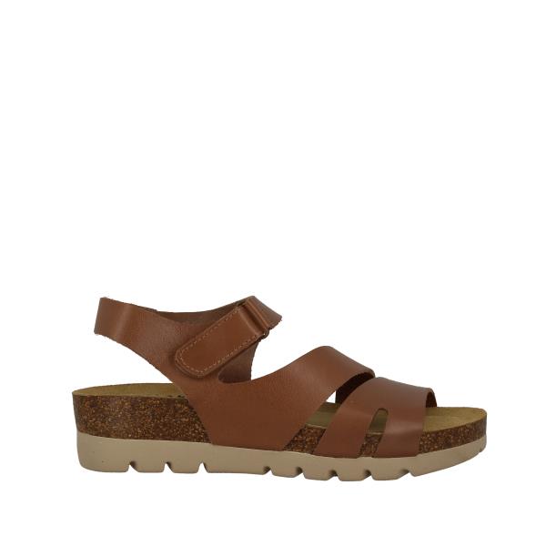 Plakton 355890 CAMEL