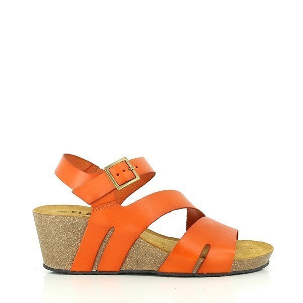 Plakton 365651 ORANGE