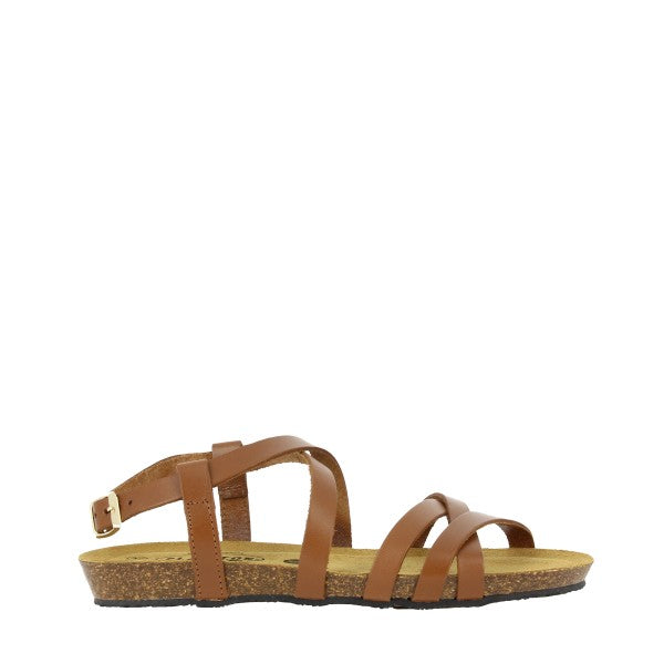 Plakton 405184 ROBLE