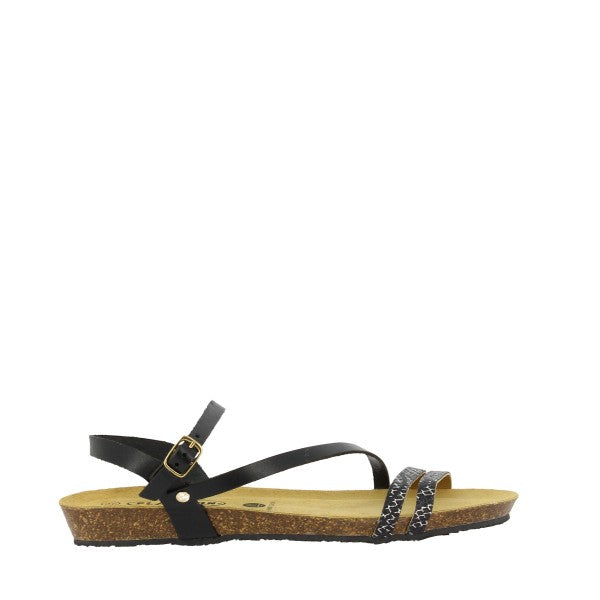 Plakton 405660 BLACK