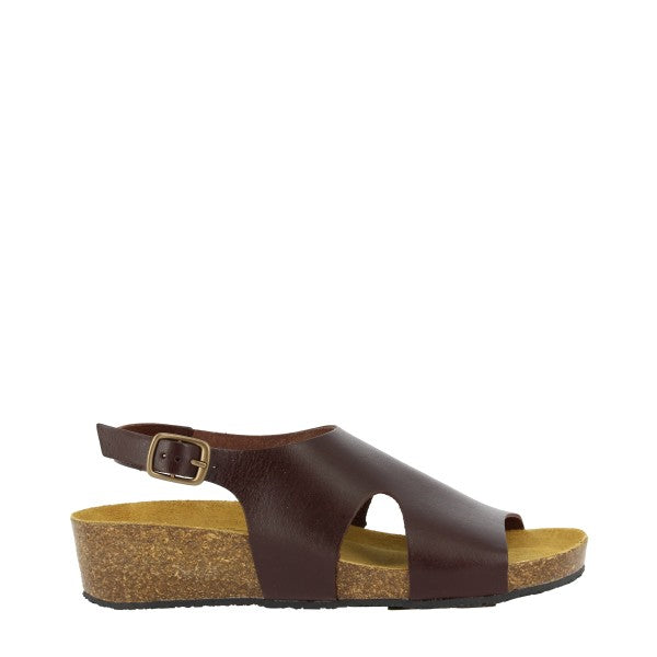 Plakton 413033 MARRON