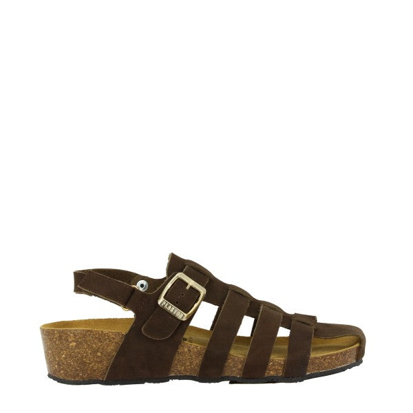 Plakton 415976 MARRON
