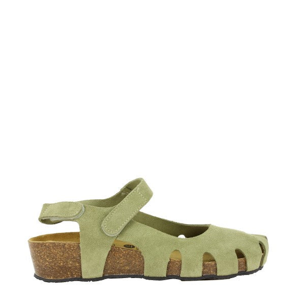 Plakton 416140 MENTA