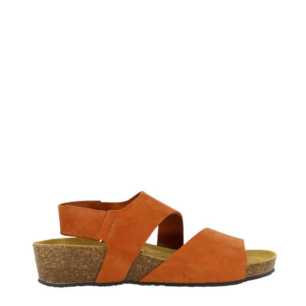 Plakton 416148 TEJA