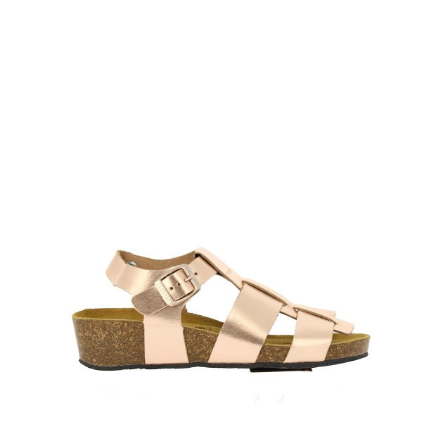 Plakton 416430 SALMON
