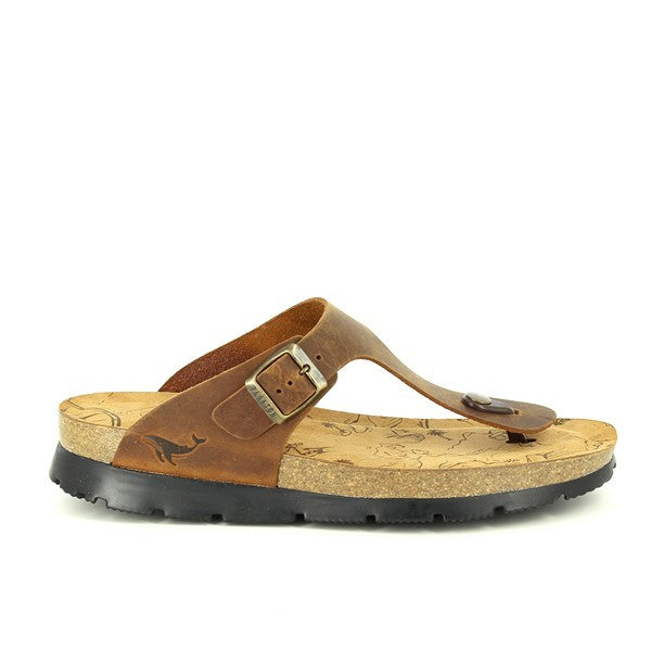 Plakton 495081 ROBLE