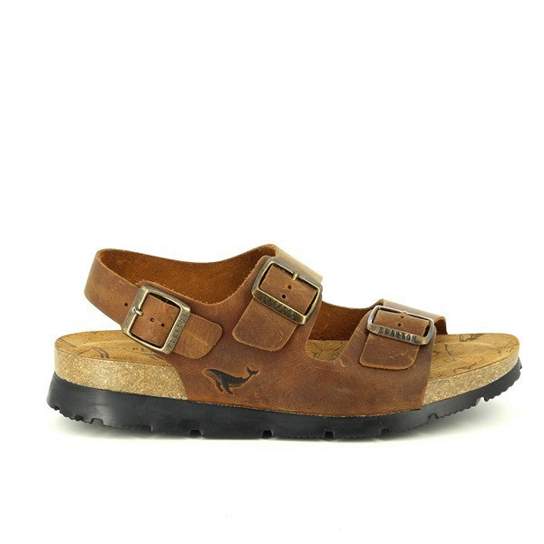 Plakton 495113 ROBLE