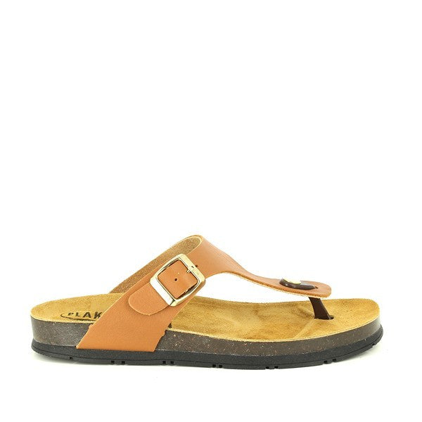 Plakton 561671 CUERO 256 X