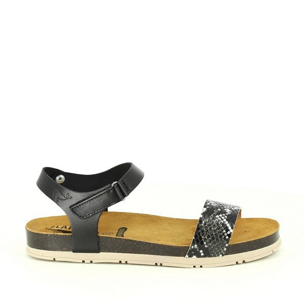 Plakton 565872 BLACK-MULTI