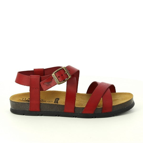 Plakton 565906 GRANA