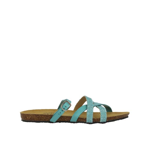 Plakton 571025 TURQUESA