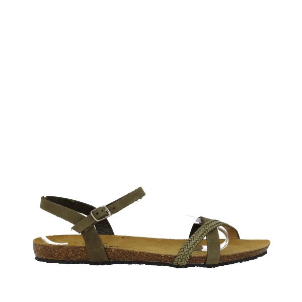 Plakton 575029 KAKI