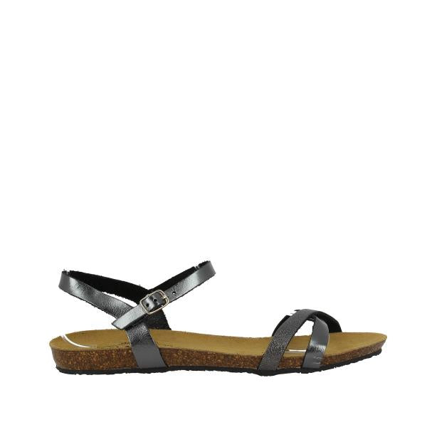 Plakton 575029 PLOMO-NEGRO