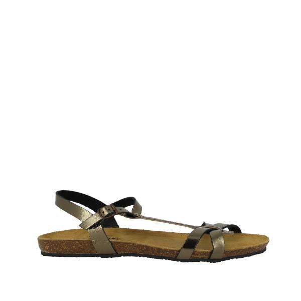 Plakton 575412 BRONCE-BROWN