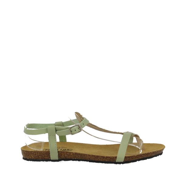 Plakton 575713 MINT