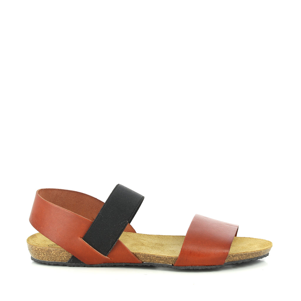 Plakton 575850 CUERO