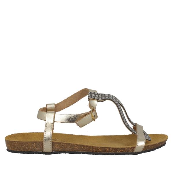 Plakton 575988 ORO-MULTI