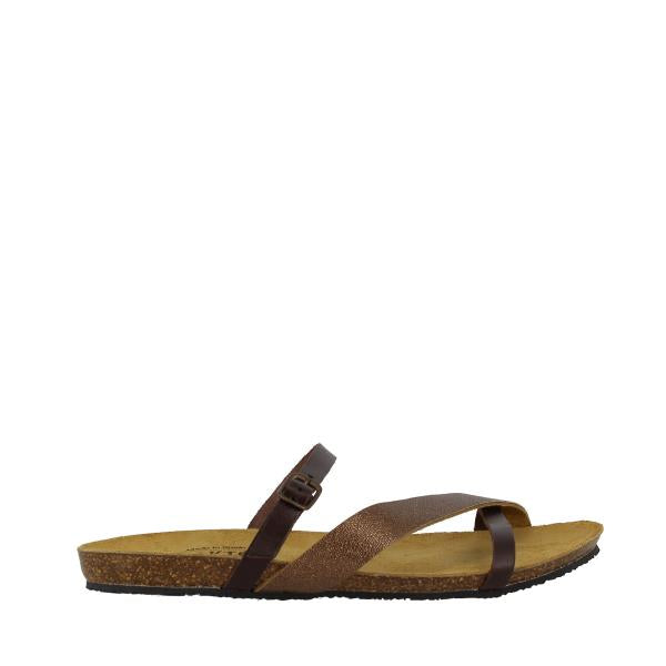 Plakton 576110 MARRON-BRONCE