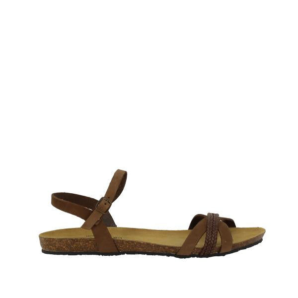 Plakton 576118 CASTAGNA-MARRON