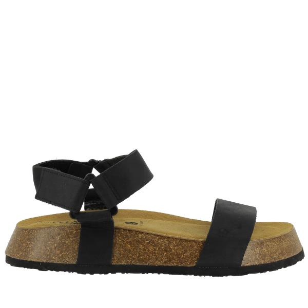 Plakton 636033 NEGRO