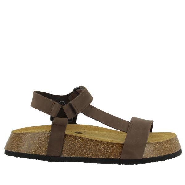 Plakton 636127 MORESCO