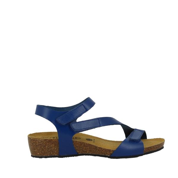 Plakton 775894 ELECTRIC-BLUE