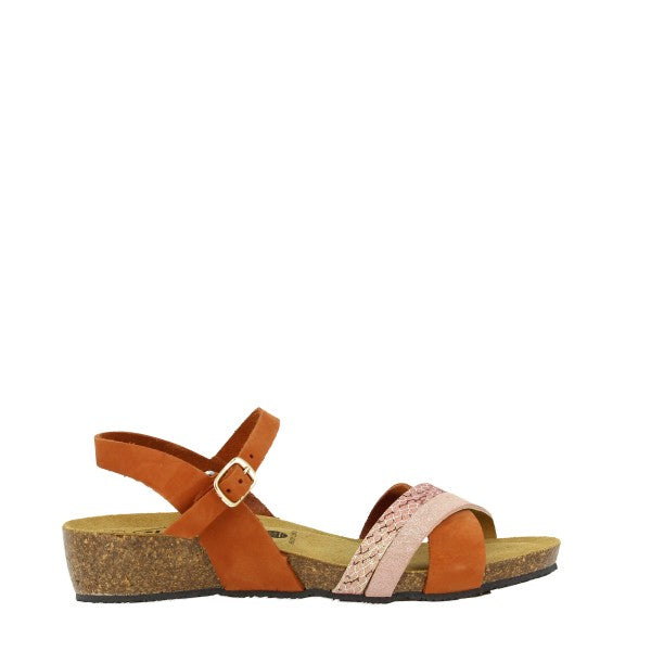 Plakton 775895 TEJA-MULTI