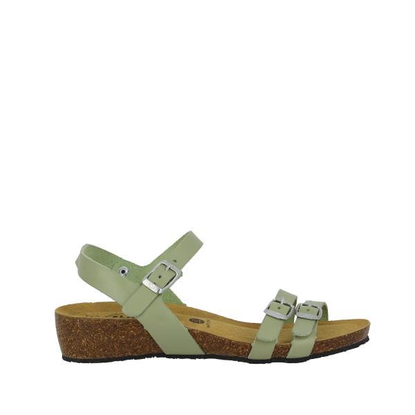 Plakton 775920 MINT