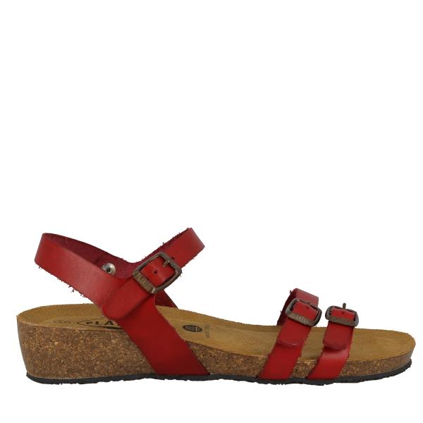 Plakton 775920 GRANA
