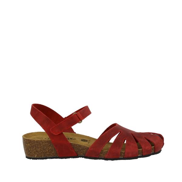 Plakton 775929 ROJO-556
