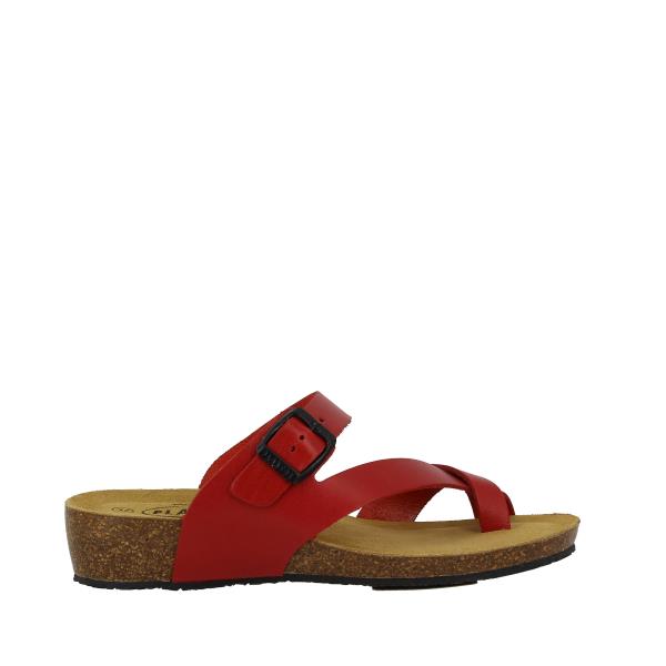 Plakton 775985 ROJO