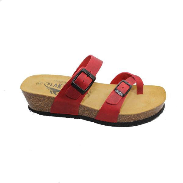 Plakton 821032 ROJO-556