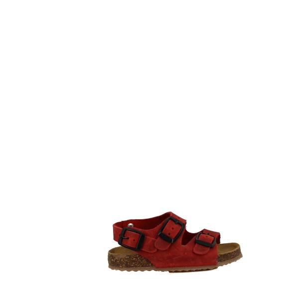 Plakton 850046 ROJO-556
