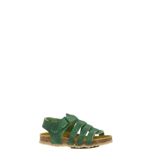 Plakton 855381 VERDE 06