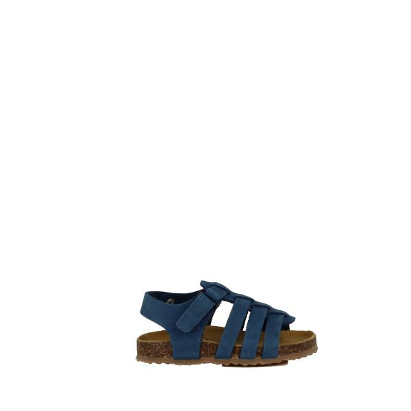 Plakton 855381 BLUE