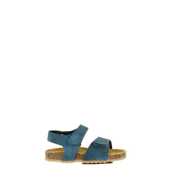 Plakton 855459 KAKI-2