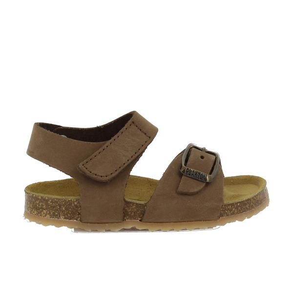 Plakton 855659 CASTAGNA